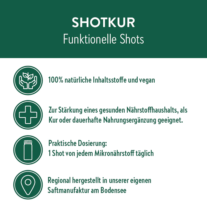 Vorschaubild 6