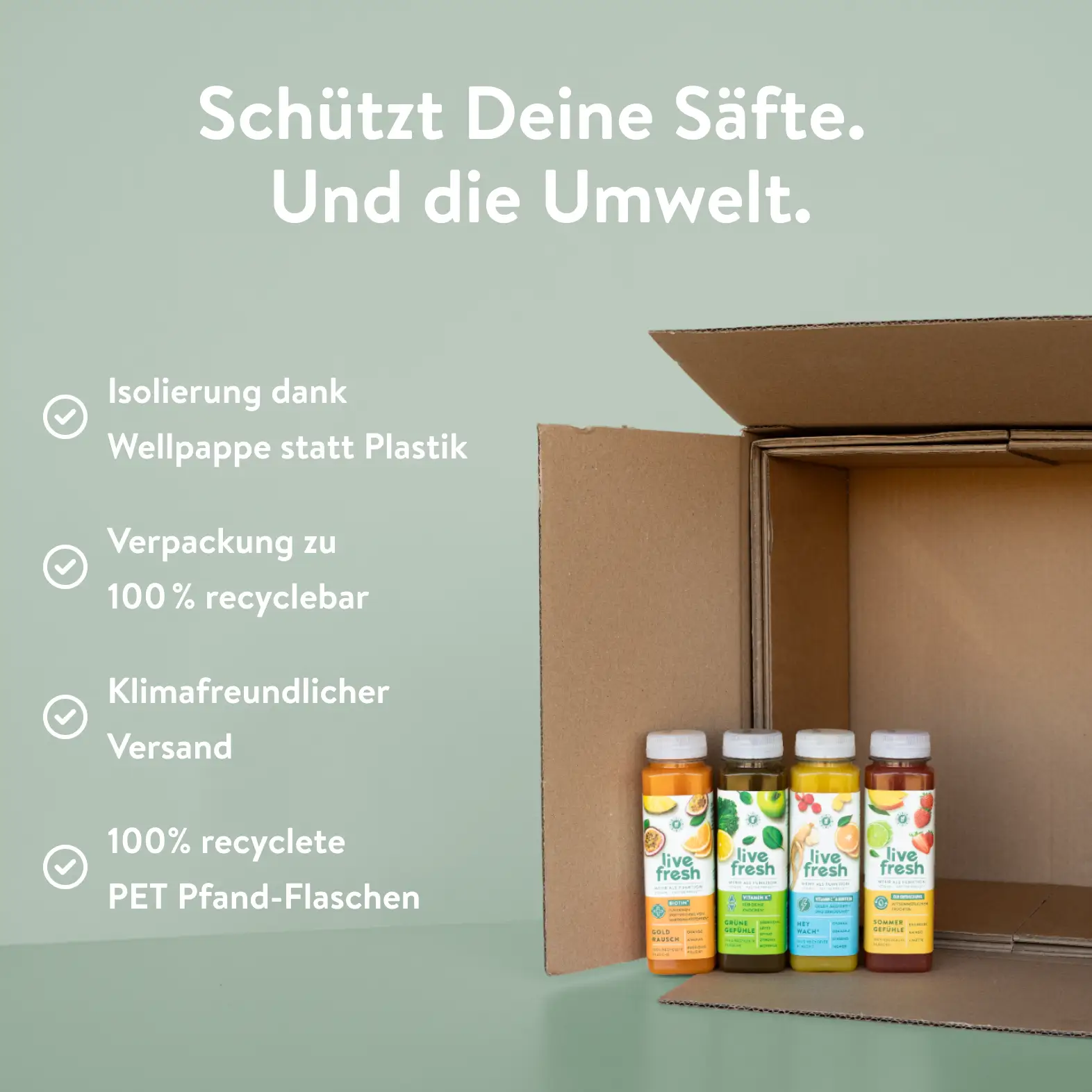 Vorschaubild 5